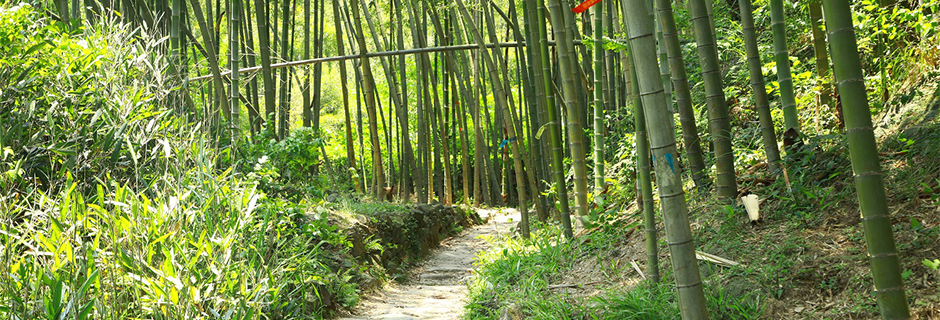 未标题-2.jpg